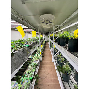 AGG Container Agricolo Verticale da 40 piedi con Telaio in Acciaio per Microgreens, Sistema Idroponico per Coltivazione di Lattuga, Produttore - Product Image 6