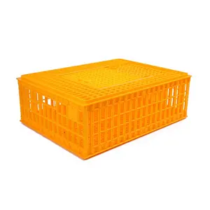 75*55*19cm Poulet-Transport-Cage-Prix Petite Cage en plastique Transport de poulets Cages à oiseaux pour poulets vivants/