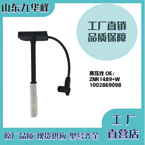 สายจุดระเบิดใหม่ 1002869098 ZNR1489W สำหรับเครื่องยนต์ Weichai WP15 อะไหล่ทดแทน - Product Image 5
