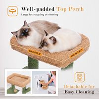 Arbre à chat mignon en forme de cactus pour chatons, griffoir pour chats d'intérieur, en bois écologique et sisal, petite tour verte pour chat avec balles