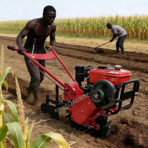 Mini-motoculteur agricole 9 CV de haute qualité, modèle 180, avec moteur et charrue pour le travail du sol - Product Image 1