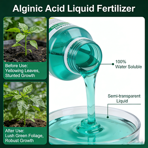 <span class=keywords><strong>Fertilizante</strong></span> de Ácido Alginico Personalizado <span class=keywords><strong>para</strong></span> CULTURAS/VERDURAS - Product Image 3