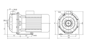 Pompe centrifuge horizontale monophasée légère en acier inoxydable pour l'alimentation en eau, le surpressionnement et l'irrigation agricole - Product Image 2