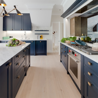 DAIYA efficacité unité de cuisine avec shaker design porte marbre granit comptoir unités de cuisine
