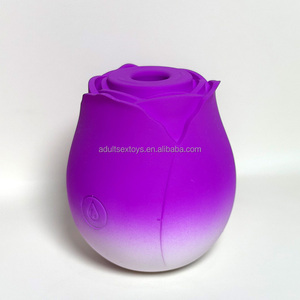 Stimulation intense des mamelons clitoridiens pour femmes Rose Sex Toy Double couleur 10 Roses suceuses vibrateur chargeur multi-type Rose vibrateur - Product Image 4