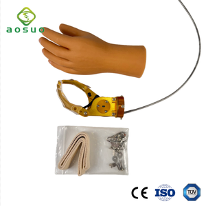 Protesi Meccanica del <span class=keywords><strong>Braccio</strong></span> con Controllo via Cavo per BE, Protesi del <span class=keywords><strong>Braccio</strong></span> - Product Image 1