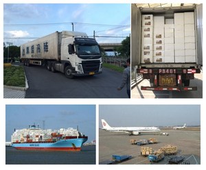 <span class=keywords><strong>Boletus</strong></span> <span class=keywords><strong>Edulis</strong></span> de la mejor calidad a un <span class=keywords><strong>precio</strong></span> bajo. - Product Image 5