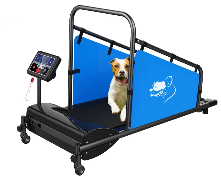 Venda quente Dog Treadmill Walking Machine Pet Treadmill Para Cães
