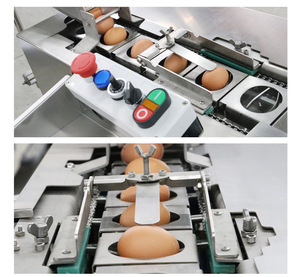Machine de séparation commerciale de <span class=keywords><strong>blanc</strong></span> et de jaune <span class=keywords><strong>d</strong></span>'<span class=keywords><strong>oeuf</strong></span> séparateur de briseur de coquille <span class=keywords><strong>d</strong></span>'<span class=keywords><strong>oeuf</strong></span> bouilli à vendre - Product Image 4