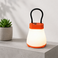 Lanterne solaire LED pour le camping, rechargeable par USB, portable, avec crochet pour le camping et la randonnée