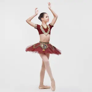 Wholesale New Design Girls Professional Stage Performance Ballet Dance TuTu Dress 2 pieces set