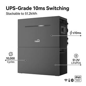 Système de stockage d'énergie domestique tout-en-un TSUN <span class=keywords><strong>TSOL</strong></span>-B4000Lite, batterie au phosphate de fer et de lithium empilable 300Ah 51.2V 2-10kW hybride - Product Image 3