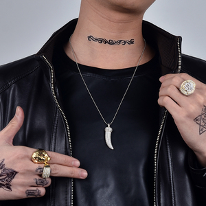 Nuevo Lanzamiento: Collar con Colgante de Diente de Lobo Chapado en Oro con Circonita Cúbica, Colgante de Diente de Elefante de Plata - Product Image 6