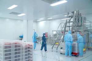 للبيع بالجملة لثة البروبيوتيك ذات التوازن الأنثوي OEM ، لثة البروبيوتيك ، 50 مليار من مكملات البروبيوتيك ، غائر لصحة المرأة - Product Image 5