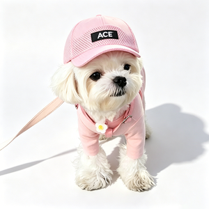 Gorra de béisbol ajustable de malla para perro con logo ACE, diseño deportivo con letras, transpirable, protección UV, sombrero solar común de tela para mascotas - Product Image 1