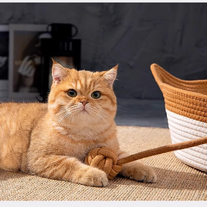 Hete Aanbieding Natuurlijke <span class=keywords><strong>Rattan</strong></span> Kattenbed Hol Handgemaakt Opvouwbaar Katoenen Touwmandje Hot Selling Huisdierenbedden Modieuze Stijl voor Honden Huisdieren - Product Image 2