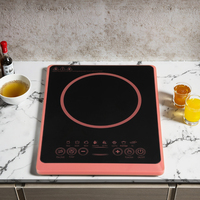 Cuisinière à induction carrée simple, brûleur unique, manuelle, pour camping-car, compatible hotpot, portable, économique en énergie