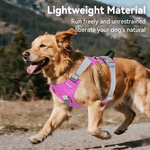 Kunden spezifisches leichtes leichtes Hunde geschirr Wiederauf lad bares No-Pull-LED-Hunde geschirr mit abnehmbarer Licht box, Airtag-Halter - Product Image 2