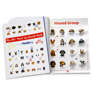 Catalogo Personalizzato con Copertina Morbida, Libro con Adesivi di Cuccioli, Realizzato con Cartoncino di Alta Qualità, Carta Artistica, Carta Offset, Carta Patinata - Product Image 3