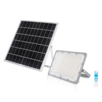 Reflector LED Solar para Exteriores, Impermeable, de Aluminio, 50W 100W 200W 300W 500W, Clasificación IP65, para Iluminación de Jardines y Calles