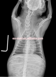جهاز بيطري متكامل لتصوير صور الأشعة السينية الرقمية, جهاز طبي بالأشعة السينية ، يستخدم في عيادة الحيوانات ، للكلب والقطط VXM1800 - Product Image 5