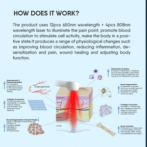 Laser Terapi <span class=keywords><strong>Fibromyalgia</strong></span>, Pereda Nyeri Otot Sendi, Terapi Tingkat Rendah Laser Dingin Inframerah - Product Image 3