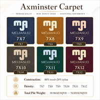 Tapis Axminster sur mesure de luxe pour projets hôteliers commerciaux, antidérapant, résistant aux taches, 4 m de large, pour hall d'entrée et salle de banquet, tapis mur à mur