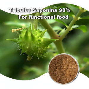 Meilleur <span class=keywords><strong>prix</strong></span> pour l'extrait pur et naturel de Tribulus Terrestris en poudre, saponines de Tribulus à 95 %, <span class=keywords><strong>98</strong></span> %, CAS 90131-68-3 pour les aliments fonctionnels - Product Image 2