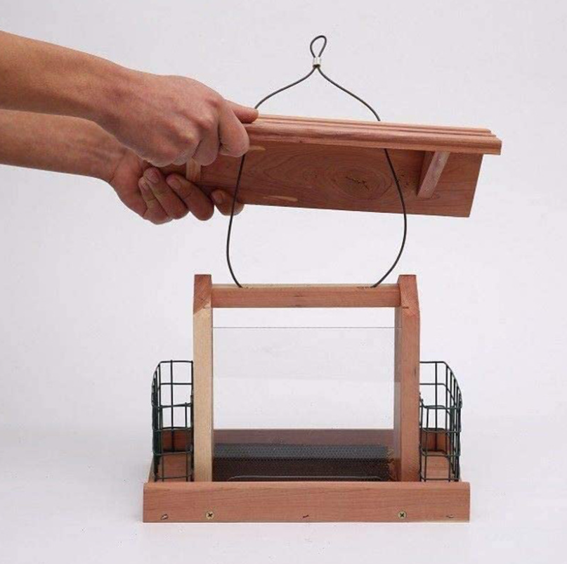 bird feeder edar