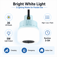 Lampe solaire rechargeable D42-1 pour le camping avec lampe LED en ABS, indice de protection IP44, pour tente de camping, utilisation en extérieur, fabrication OEM