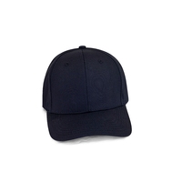 Gorra de Béisbol Ligera y Ajustable de Seis Paneles con Visera Precurvada y Ojales Bordados para Deportes al Aire Libre