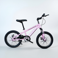 Vélo de montagne 18 pouces à suspension avant et freins à disque doubles, vente en gros pour le marché sud-américain