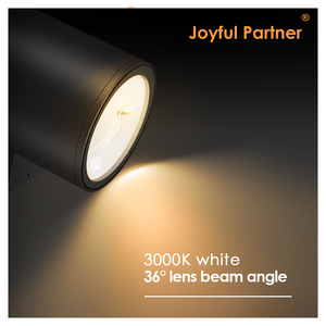 Nuovo tipo esterno impermeabile colore nero lampada da parete esterno <span class=keywords><strong>per</strong></span> il corridoio in alluminio decorazione Focus LED da parete - Product Image 6