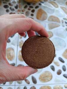 Hindistan cevizi Fiber Coir pelet besin toprak hafif bitki sıkıştırılmış taban bahçe - Product Image 4