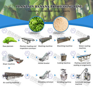 Weegbree Bananen Proces Productielijn <span class=keywords><strong>Chips</strong></span> Drogen Malen Groene Bananenschil Weegbree Poeder Meel Maken Productielijn - Product Image 3