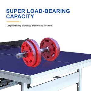 Bàn Bóng Bàn Chuyên Nghiệp Để Bán Bàn Bóng Bàn Kích Thước Tiêu Chuẩn Quốc Tế - Product Image 5