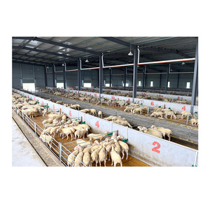 Assemblage facile Conception moderne bon marché Structure en acier Conception d'étable d'hiver Étable préfabriquée Bâtiment de ferme d'étable préfabriqué - Product Image 5