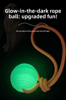 Jouets à mâcher pour chiens LY Pet, nouveaux, tendance, pour l'intérieur et l'extérieur, balle en EVA, jeu de la force, écologiques, phosphorescents, série Halloween