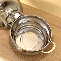 Marmite extra-épaisse pour soupe, bouillie, nouilles et lait, compatible induction et gaz, 24 cm, design moderne avec couvercles