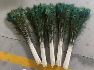 Plumas de cola de plumas de pavo real baratas coloridas a la venta