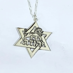 Collar con colgante de León judío con <span class=keywords><strong>nombre</strong></span> hebreo personalizado para hombre, chapado en oro de 18K, joyería israelí de alto pulido para hombre - Product Image 6