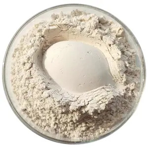 Bentonite montmorillonite argilla in polvere per uso alimentare/linea di produzione di polvere di bentonite actevated/bentonite argilla per lagchetti