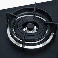Vente directe – Nouveau design moderne – Prix bas – Double cuisinière en fonte naturelle – Allumage électronique – Encastrable – Classe énergétique A