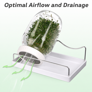 Kit de germination de graines biologiques avec 2 pots Mason de 32 oz, support incliné, plateau de récupération des eaux, et manchons occultants pour la germination des graines - Product Image 2