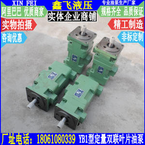 YB1-2.5/4/6/6.3/10/12/16/20/25/<b>32</b> Fixed Displacement Double Vane <b>Hydraulic</b> <b>Oil</b> Pump Medium Pressure New & Used - Product Image 1