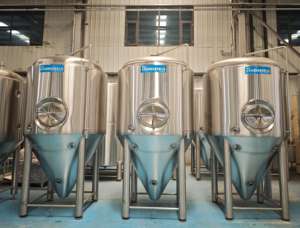 Anytime 1000L 2000L 4000L envanter fermantasyon tankları her zaman gemi - Product Image 5