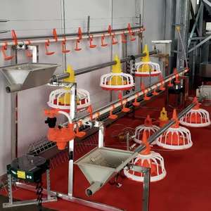 Vente directe d'usine de nouveaux mangeoires en plastique pour poulet volaille divers modèles d'équipement d'élevage automatique avec 1 an de garantie - Product Image 6