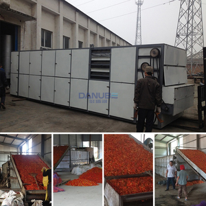 Séchoir à bande transporteuse Équipement de séchage de légumes et de fruits Machine de séchage de tomates cerises oignons - Product Image 4