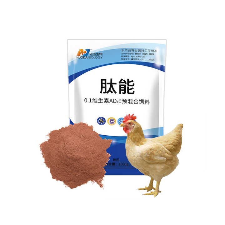 家禽氨基酸益生菌枯草芽孢杆菌粉提高产蛋量家禽饲料添加剂生长促进剂 Buy Probiotics Bacillus Subtilis 