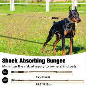 Correa y Collar Personalizados para Perro con LOGO, Hebilla Metálica Ajustable de Liberación Rápida, Correa Elástica Táctica para Perro Tipo Bungee - Product Image 5